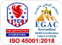 ISO 45001 LOGO